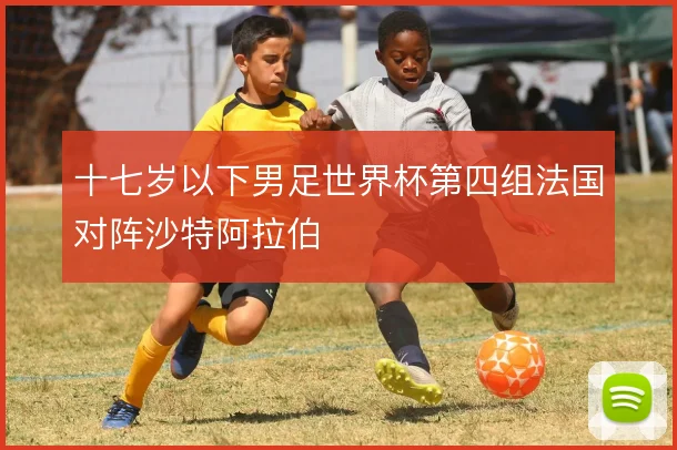 十七岁以下男足世界杯第四组法国对阵沙特阿拉伯