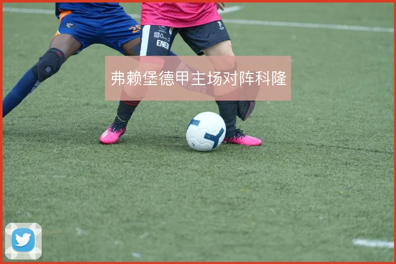 弗赖堡德甲主场对阵科隆