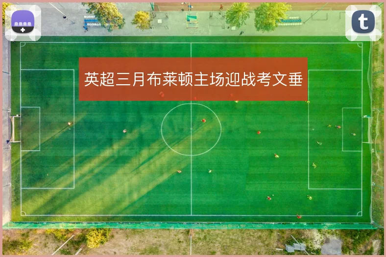英超三月布莱顿主场迎战考文垂