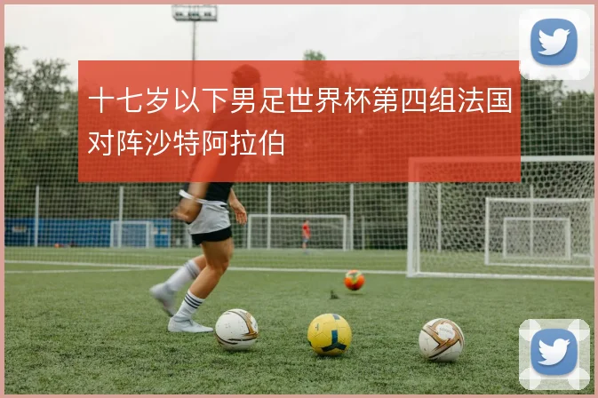 十七岁以下男足世界杯第四组法国对阵沙特阿拉伯